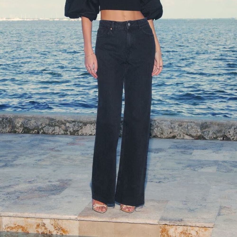 Dynamite Black Heidi Wide Leg Jeans